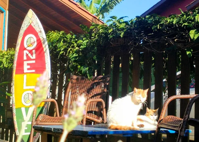 Long Life Campeche-Pousada Florianópolis